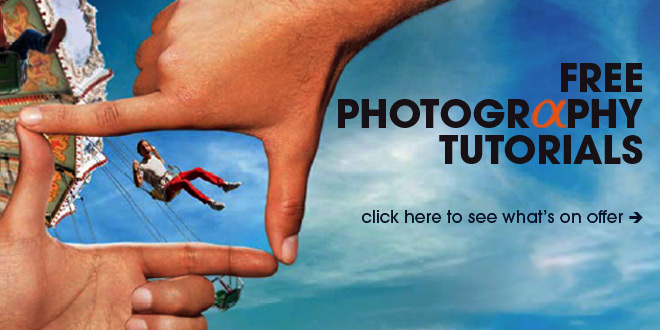 Free Photography Workshops and Events
