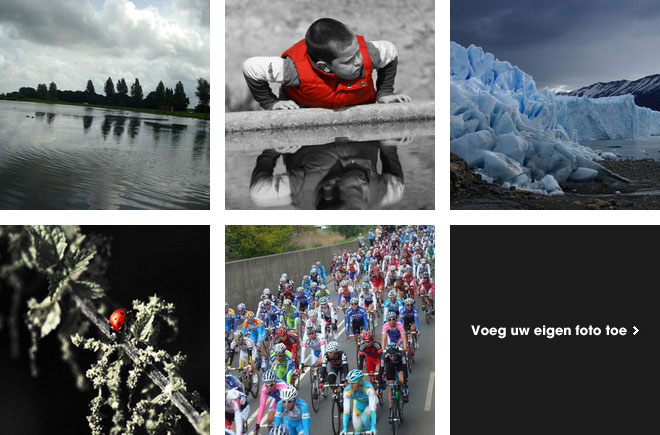 Meer recente foto's