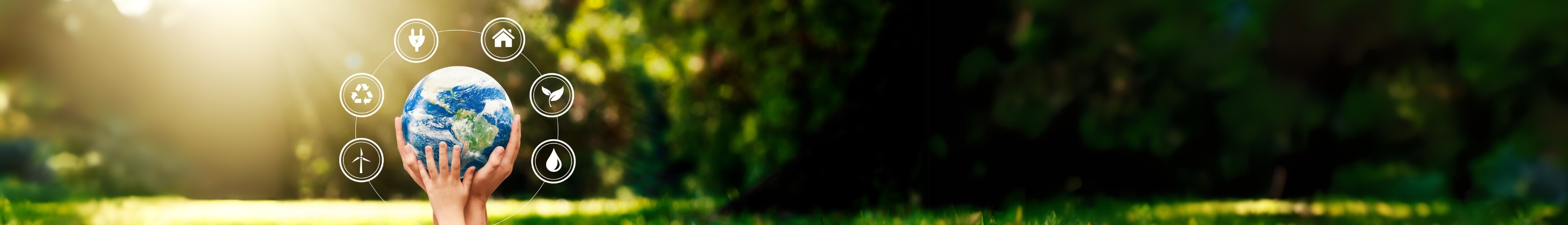 Picture taken by nano-satellite