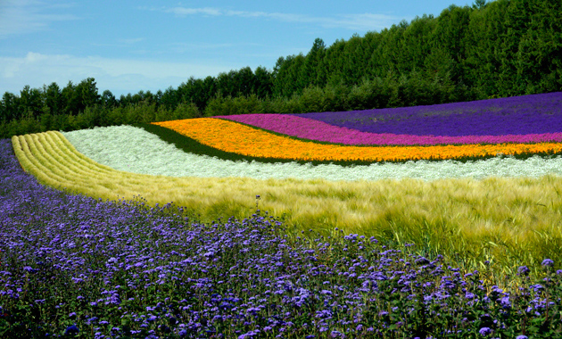 Shoot stunning portraits