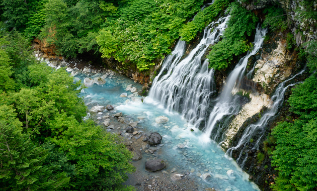 Shoot stunning portraits