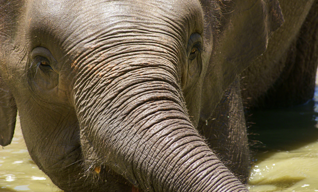 Shoot stunning portraits