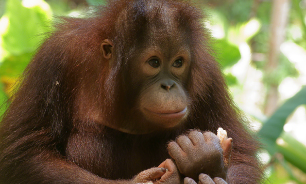 Shoot stunning portraits